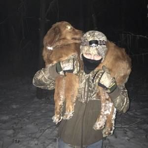 Meet your Posher, Talon